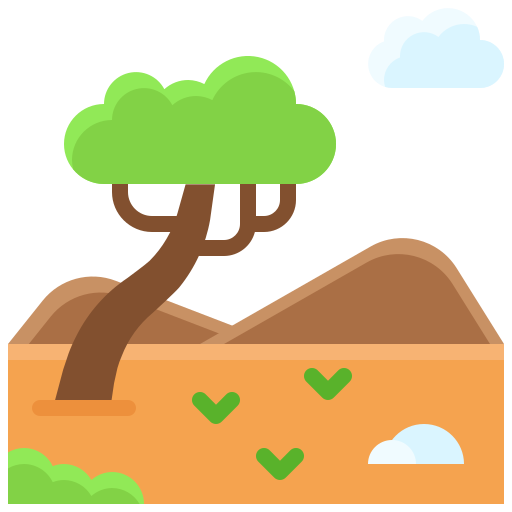 Terreno